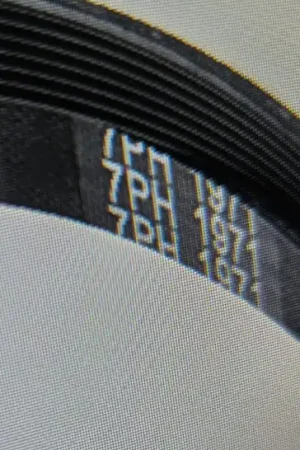 CORREA SECADORA AEG, 7PH1971 - Secadoras Disponible Ahora