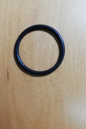 Precio Económico JUNTA RESISTENCIA TERMO, JUNTA TORICA PARA RESISTENCIA TERMO CURVADA, 45/4 MM,1200004535 | Thermor