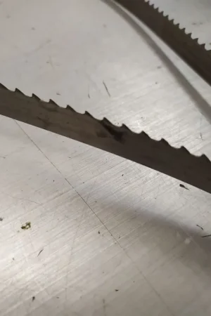 SIERRA CONGELADO CINTA, (2 UNIDADES) LONGITUD 1985 MM, ANCHO 16 MM, 1985-16 Promoción Exclusiva