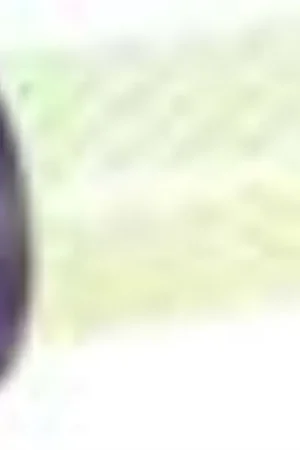 Precio De Oferta FILTRO COMPLETO LAVADORA ZANUSSI,50681658006